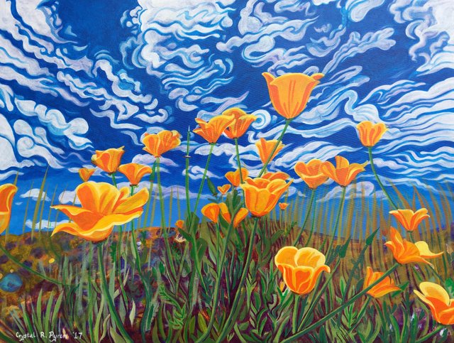 Loose stylised Californian poppies