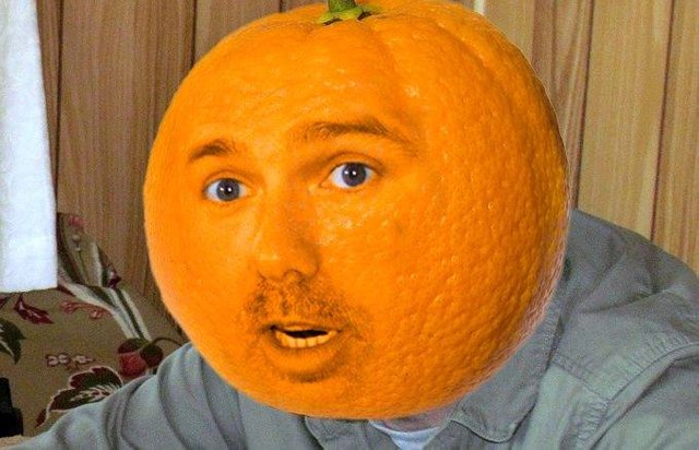 Image result for karl pilkington orange