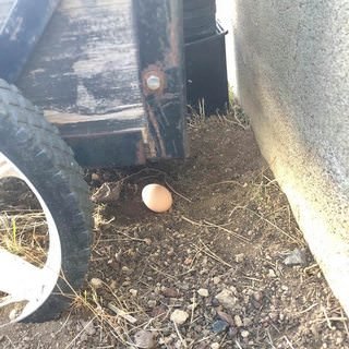 farmstead farmsteadsmith easteregghunt hidden stash egg