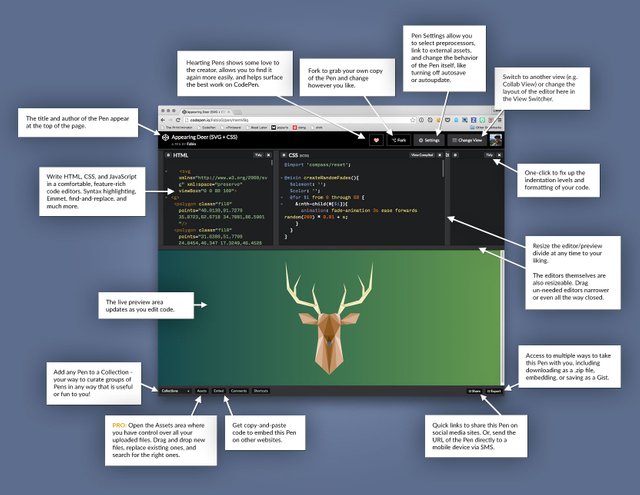 CodePen4.jpg