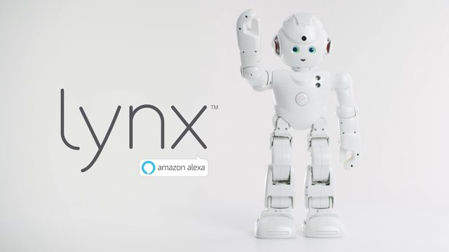 lynx 2.jpg