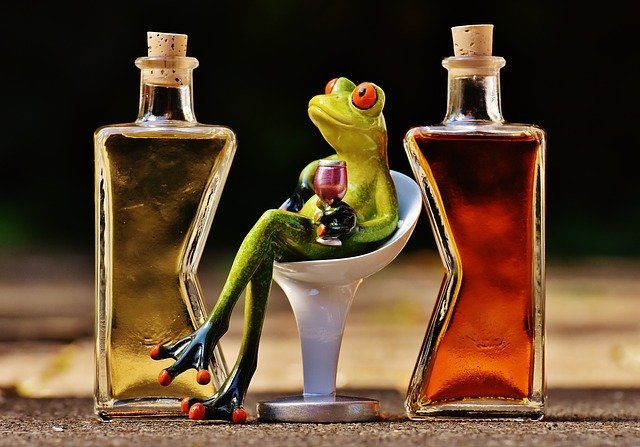 WohlfühlFrosch