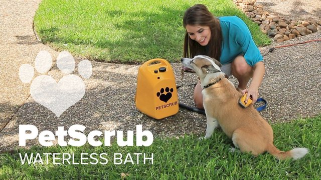 PetScrub-Waterless-Dog-Bath.jpg