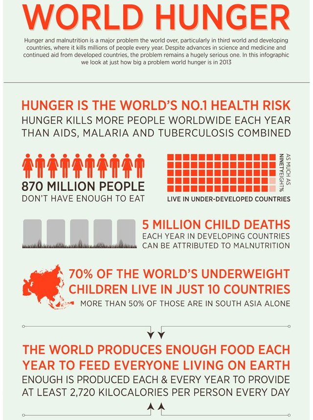 World Hunger Solutions