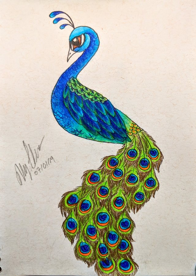 Top 139+ peacock drawing with pencil latest - seven.edu.vn