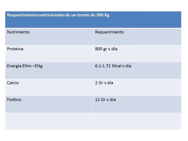 imagen 3.1