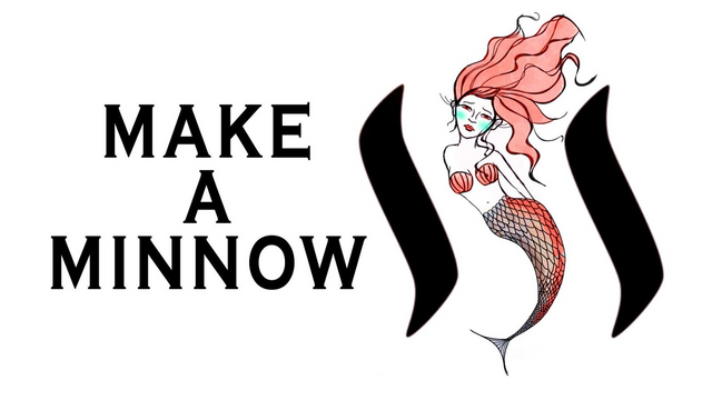 Make a Minnow contest