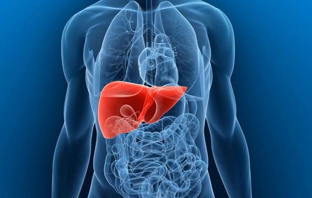 Liver Disease — Steemit