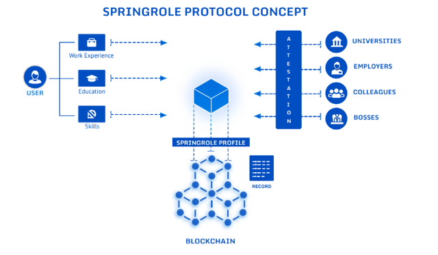 Springrole