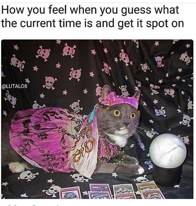 aiVSMfo.jpg