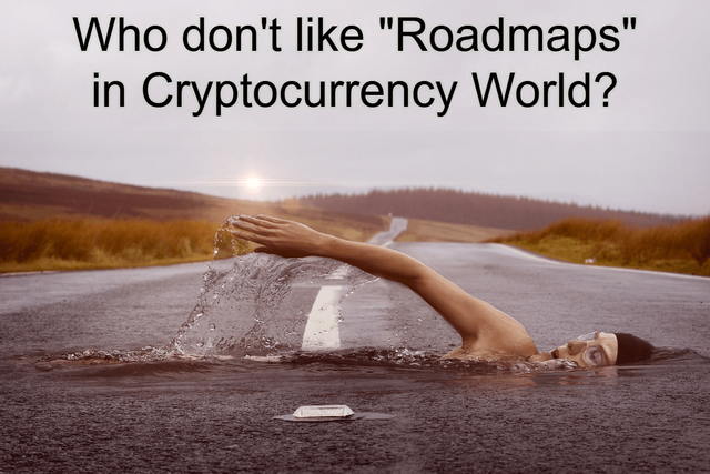 Roadmaps in Cryptocurrency