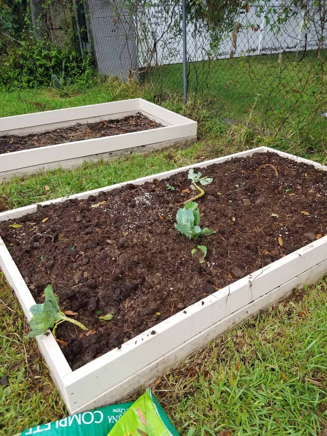 How To Use Horse Manure In The Garden Fasci Garden