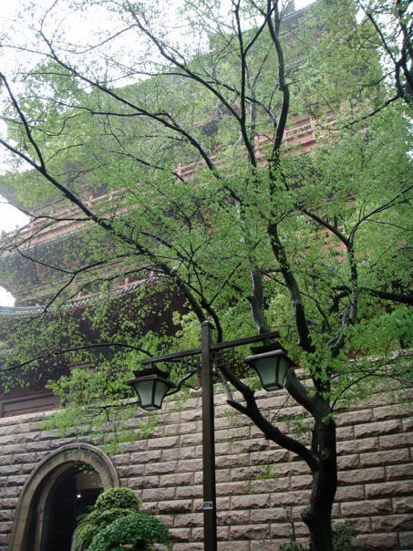 Hangzhou Tower Gate