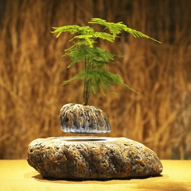 Levitating-Bonsai-Pot.jpg