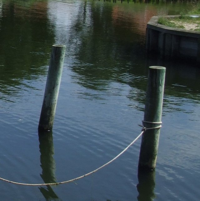 Posts
