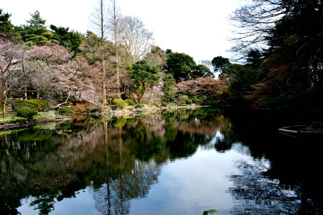 Shinjuku Gyoen