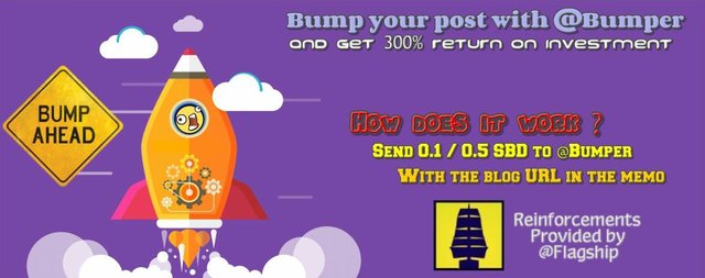 Earn 300% return via Bumper
