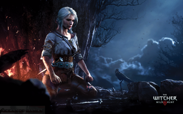 The-Witcher-3-Wild-Hunt-With-All-Updates-Features-768x480.png