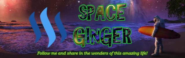 Space Ginger Review – SPACE ENGINEERS — Steemit