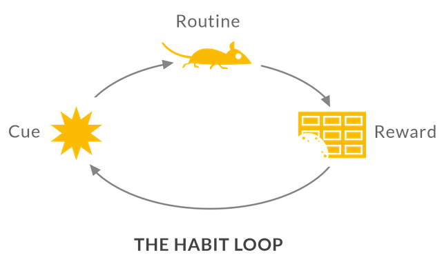 habit loop
