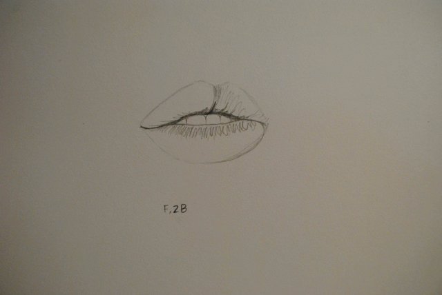 Drawing Tutorial: Lips. — Steemit
