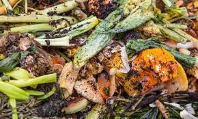 Can You Try To Reduce The Waste Of Food Please Steemit