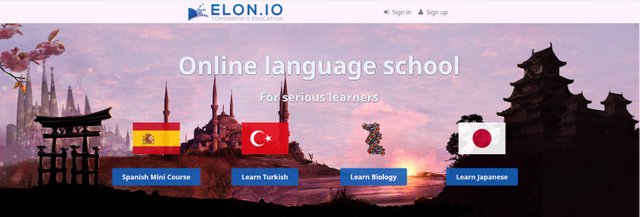 elon.io dashboard