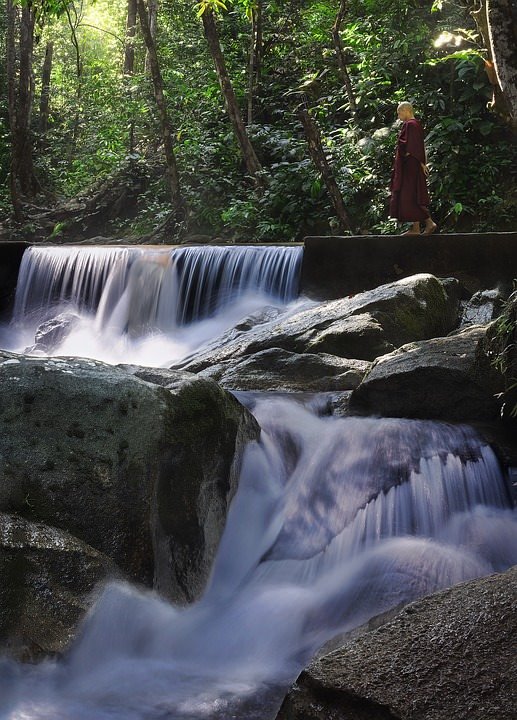Theravāda Monk in Walking Meditation