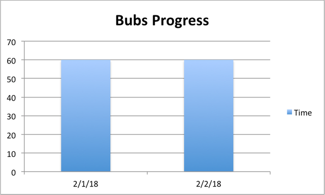 bubsprogress-02022018