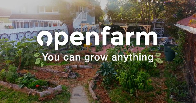 openfarm-learn-to-grow-anything-with-community-created-guides-e31b7dadd9924f1f1048cfcb010c3ac5386aa9e148333dde0a8e97212dc6e326.jpg