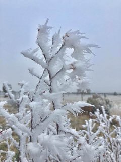 farmstead farmsteadsmith freezing fog