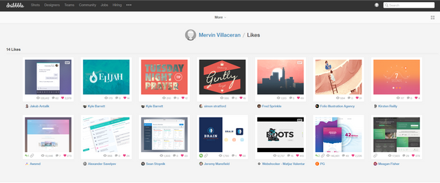 dribbble2.PNG