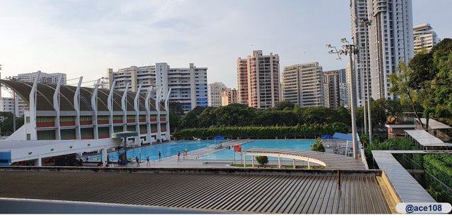 TP Swimming Pool