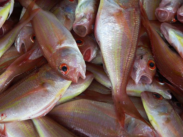 Nutritious-Food-Fischer-Sell-Ocean-Market-Fish-234677.jpg