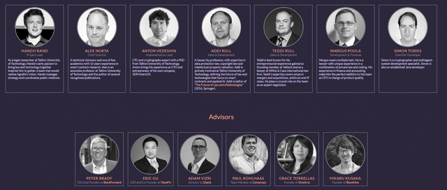 Agrello ICO management and advisory team