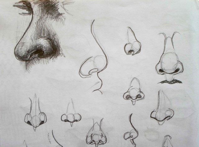 Práctica de dibujo (nariz) — Steemit