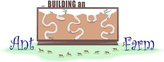 How to Choose the Right Ant Farm for Your Needs