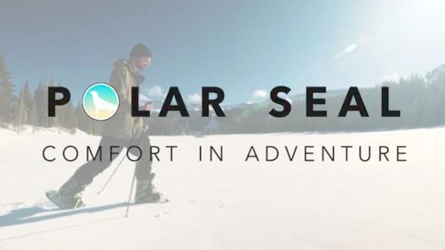 polarseal-1-625x352.jpg