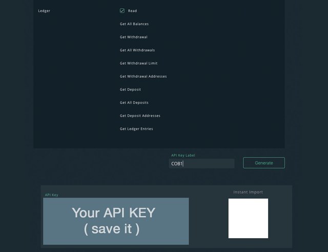 Cobinhood API get API Key - Keno
