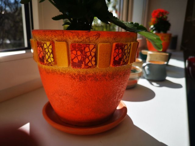 Object of the Week #32 : Flower pot