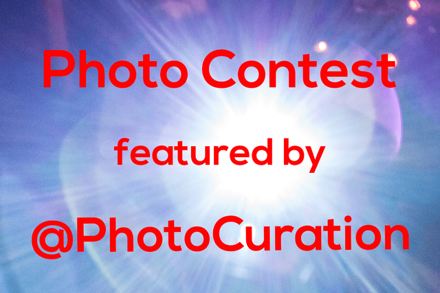 Photo Contest Featured by @PhotoCuration