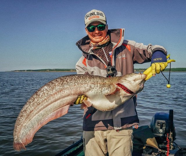 Catching predatory fish in the Amur river — Steemit