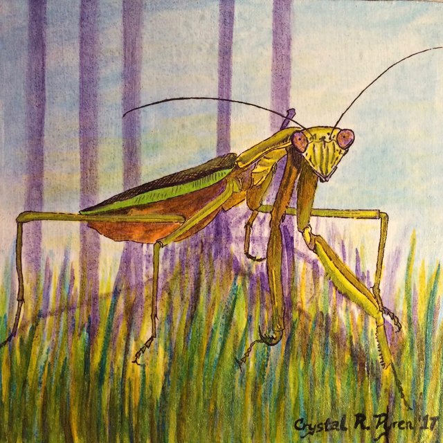 praying mantis painting