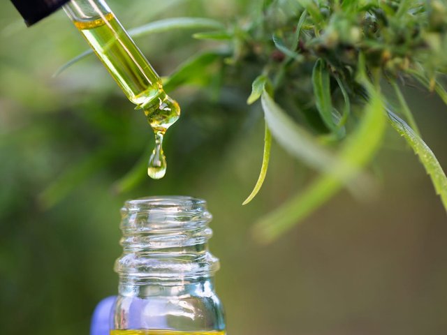 CBD Oil for Pain