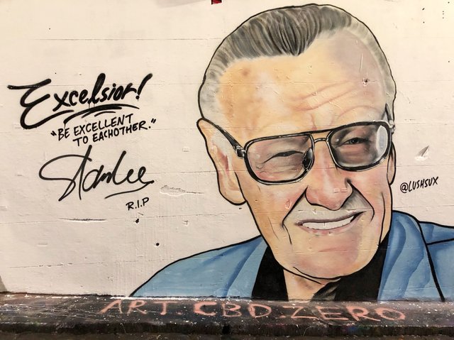 Image result for excelsior stan lee