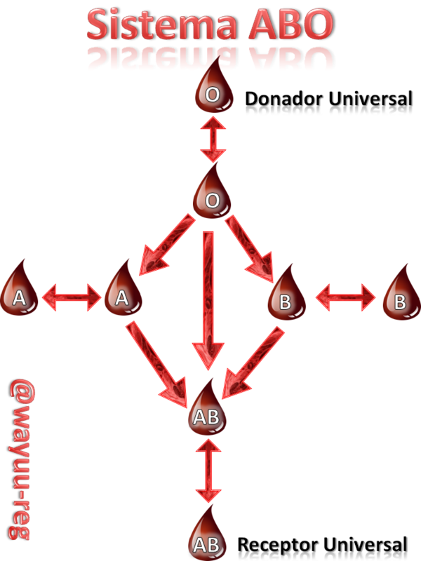 grupo sanguíneo del receptor universal