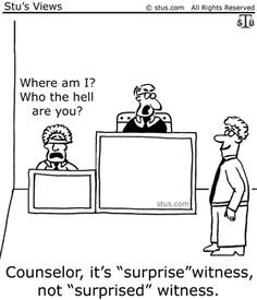 Image result for witness in court cartoon