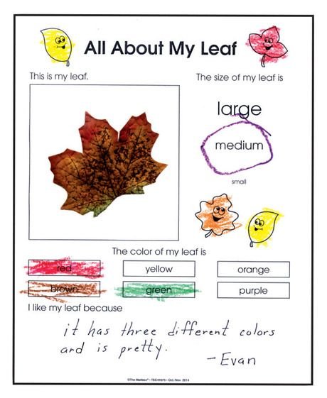 All About My Leaf — Steemit