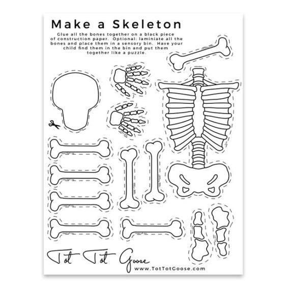 Let's learn about bones