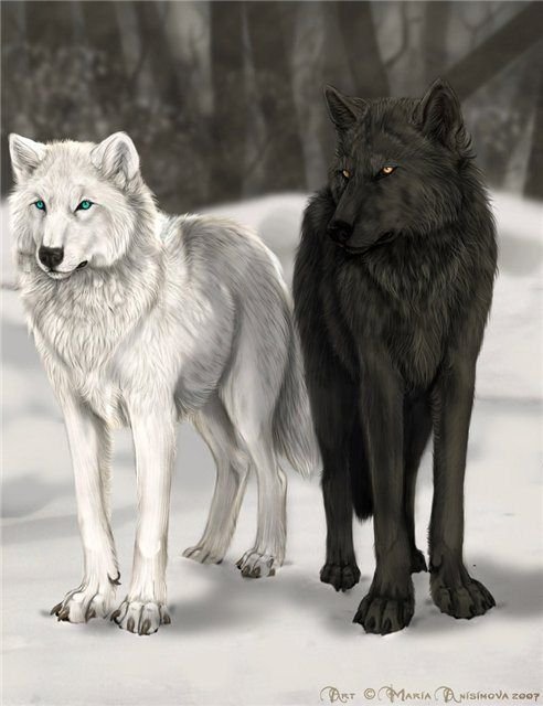Cuento. Los dos lobos